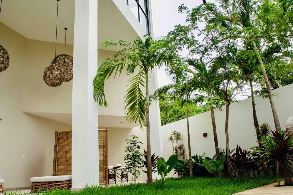 Dk31 Wifi 600Mb, Cheap Scooters By Moikkarentals Tulum Exterior photo