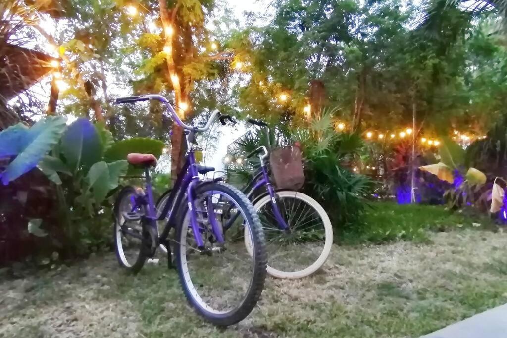 Dk31 Wifi 600Mb, Cheap Scooters By Moikkarentals Tulum Exterior photo
